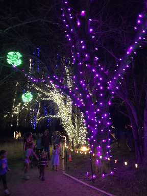 Holidays at the Heard